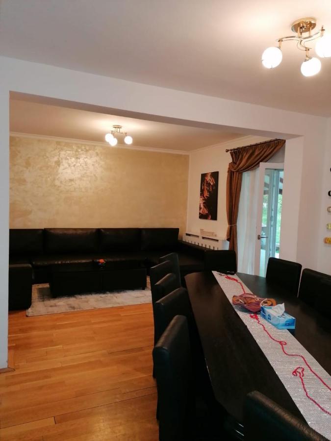Casa Gabrielle Villa Călimăneşti Rum bild