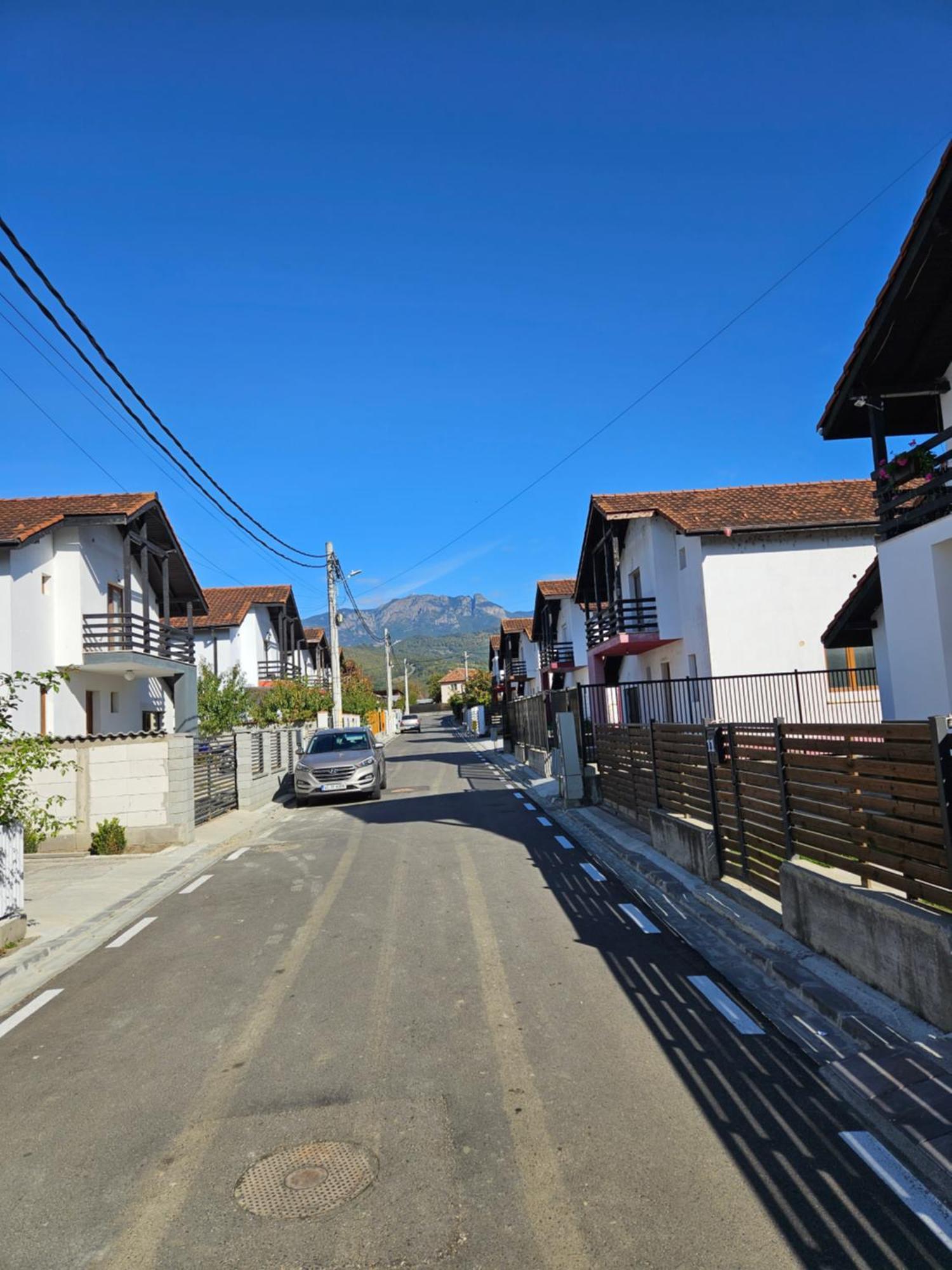 Casa Gabrielle Villa Călimăneşti Exteriör bild